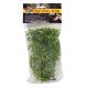 Natural Bush Plant - Cannabis 36cm