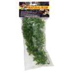 Natural Bush Plant - Congo Ivy 46cm