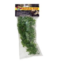 Natural Bush Plant - Congo Ivy 46cm