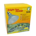 Bright Sun FLOOD Desert 70W