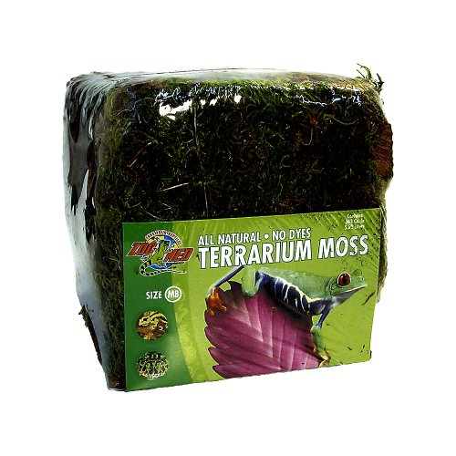 Terrarium Moss - MB 5,65L