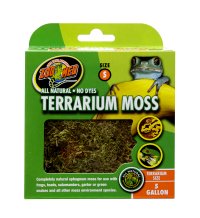 Terrarium Moss - Small 1,31L