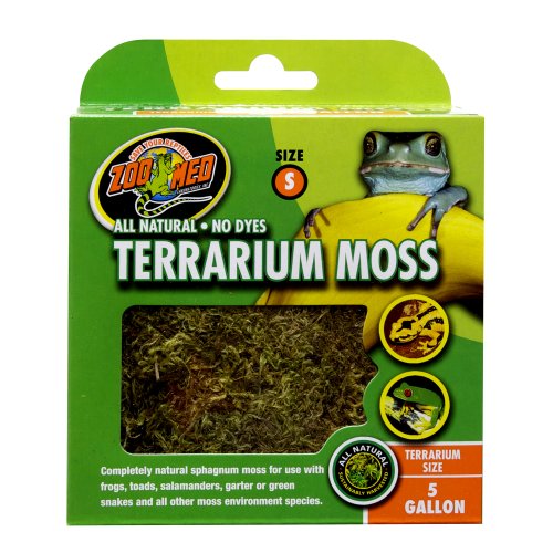 Terrarium Moss - Small 1,31L