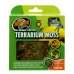Terrarium Moss - Small 1,31L