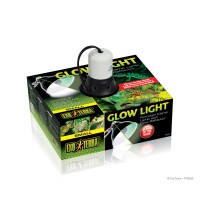 Glow Light - Small