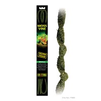 Moss Vines - Small