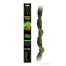 Moss Vines - Small