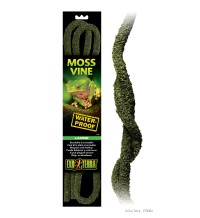 Moss Vines - Large