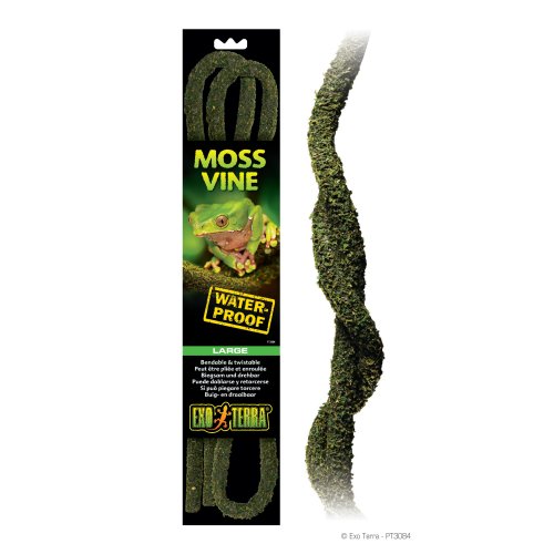 Moss Vines - Large