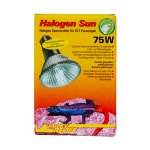 Halogen Sun 75W