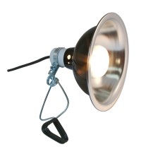 Porcelain Clamp Lamp 22cm