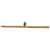 Bamboo Stick Ø5cm