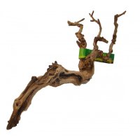 Premium Grapevine - Medium