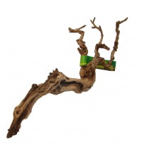 Premium Grapevine - Medium