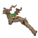 Premium Grapevine - Large