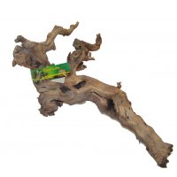Premium Grapevine - Large
