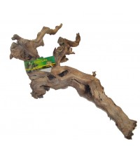 Premium Grapevine - Large
