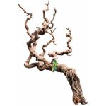 Premium Grapevine - SHOW