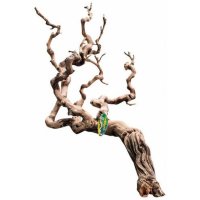 Premium Grapevine - SHOW