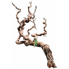 Premium Grapevine - SHOW