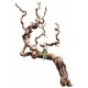 Premium Grapevine - SHOW