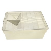 Knaagdier Kooi Labo Muis