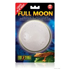 Full Moon