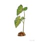 Dripper Plant - Small