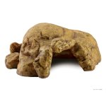 Reptile Cave - X-Large