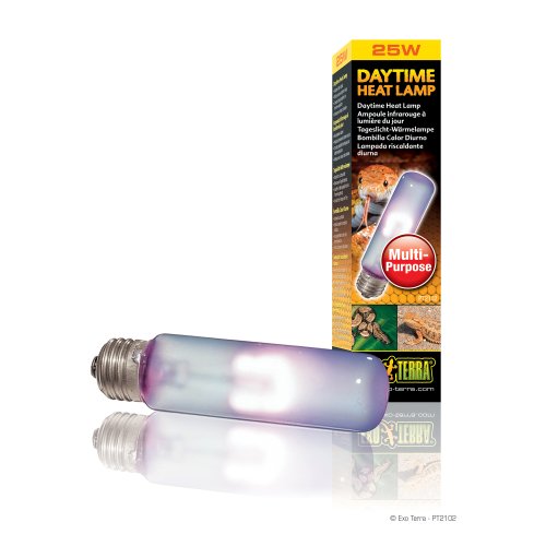 Daytime Heat Lamp T10-25W