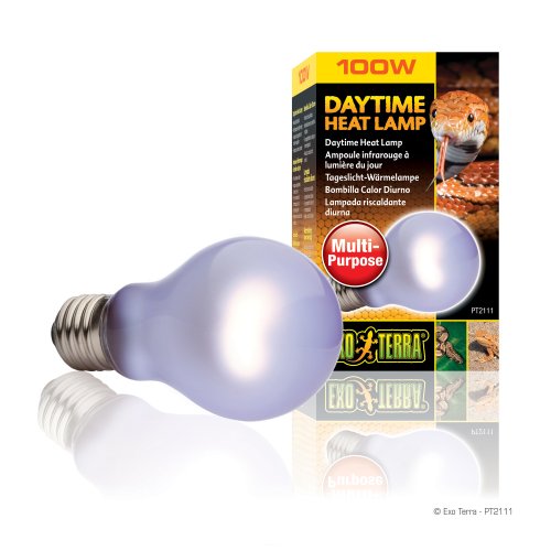 Daytime Heat Lamp A19-100W