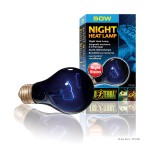 Night Heat Lamp 50W