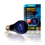 Night Heat Lamp 75W