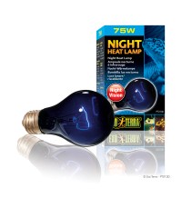 Night Heat Lamp 75W