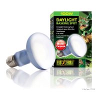 Daylight Basking Spot 100W