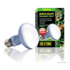 Daylight Basking Spot 100W