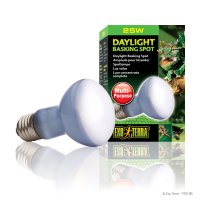 Daylight Basking Spot 25W
