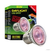 Daylight LED Spot NANO - 5W