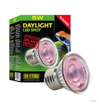 Daylight LED Spot NANO - 5W