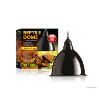Reptile Dome 21cm