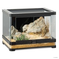 Vista Panoramic Terrarium 60