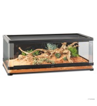Vista Panoramic Terrarium 120