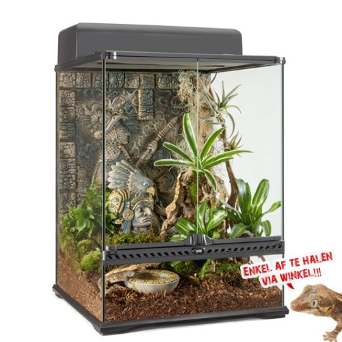 Aztec Terrarium - Small/Tall - 45x45x60cm