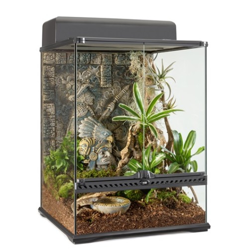 Aztec Terrarium - Small/Tall - 45x45x60cm