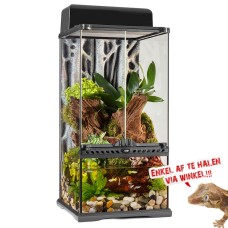 Paludarium Mini X-Tall 30x30x60cm
