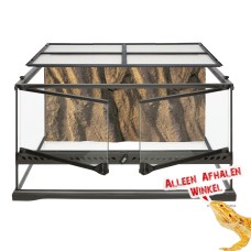 Medium Terrarium - Low 60x45x30cm