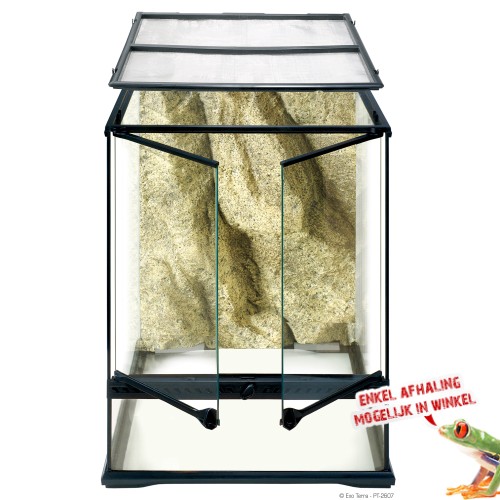 Small Terrarium - Tall 45x45x60cm