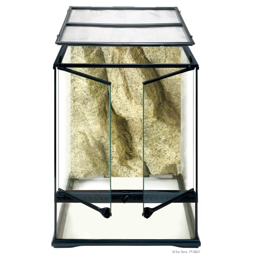 Small Terrarium - Tall 45x45x60cm