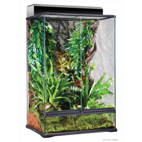 Medium Terrarium - X-Tall 60x45x90cm