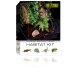 Starters Kit Rainforest - Medium 45x45x60cm